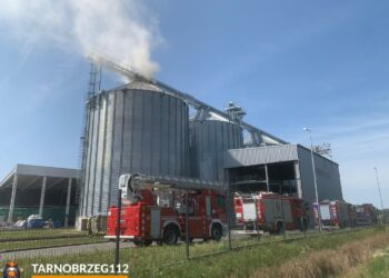 Baranów Sandomierski. Strażacy 4 dzień gaszą palący się pellet drzewny.