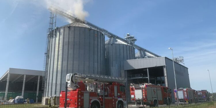 Baranów Sandomierski. Strażacy 4 dzień gaszą palący się pellet drzewny.