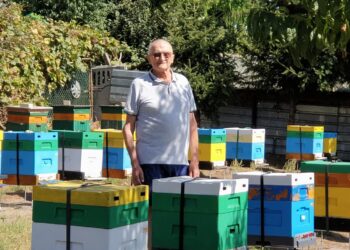 Tarnobrzeg: Pszczelarze wstępnie oceniają tegoroczne zbiory miodu