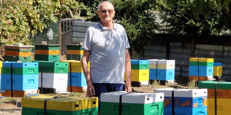 Tarnobrzeg: Pszczelarze wstępnie oceniają tegoroczne zbiory miodu