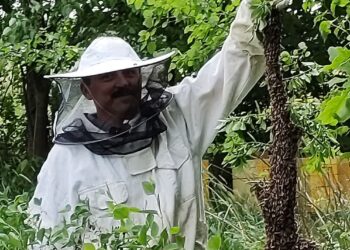 Tarnobrzeg: Uczciwość pszczelarza gwarantem jakości miodu