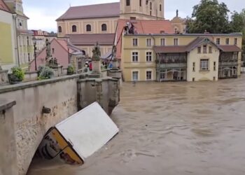 Mielec: RuszaMY z pomocą…