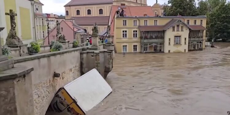 Mielec: RuszaMY z pomocą…