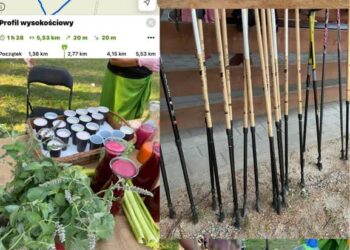 Filmowa Koprzywnica i Sąsiedzkie inspiracje