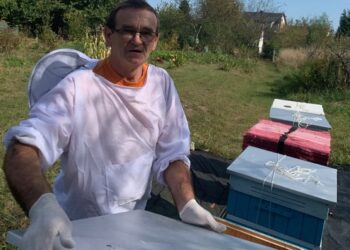 Tarnobrzeg: Kupuj miód z pewnego źródła!