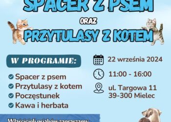 Spacer z psem, przytulasy z kotem w Mielcu