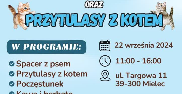 Spacer z psem, przytulasy z kotem w Mielcu