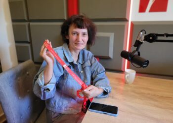 Sandomierz: Niepokojącym zjawiskom można zapobiegać – potrzebna pomoc gmin