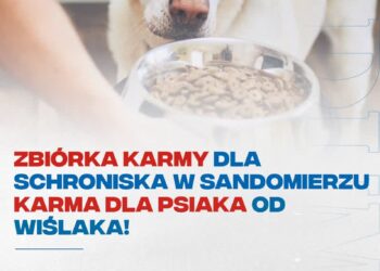 Sandomierz: Na pomoc psom z „Przytuliska na Wiśniowej”.