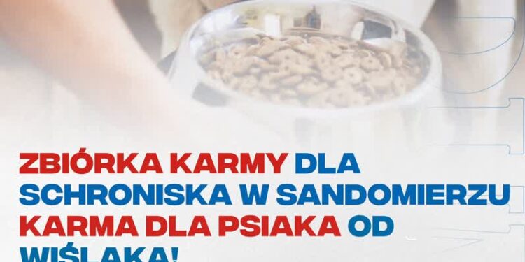 Sandomierz: Na pomoc psom z „Przytuliska na Wiśniowej”.