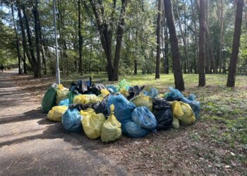 Akcja Sprzątanie Świata w Polsce – także w Tarnobrzegu, z Budowlanką