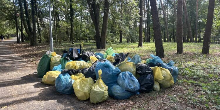 Akcja Sprzątanie Świata w Polsce – także w Tarnobrzegu, z Budowlanką