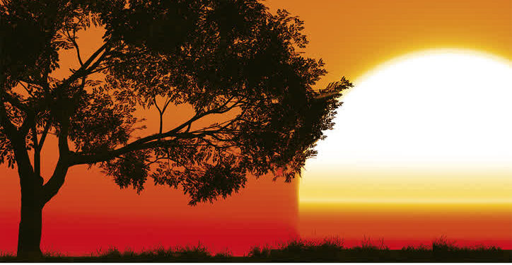 Huta Komorowska: XVII Dni Kardynała Adama Kozłowieckiego.