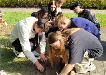 Sandomierz: Jubileuszowe tulipany ubarwią szkolny ogród