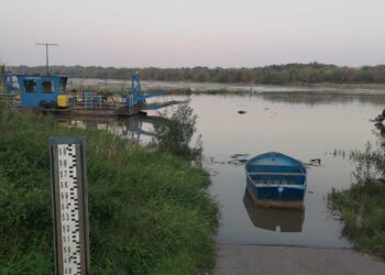 Zawichost: Woda na Wiśle nie przekroczy stanów ostrzegawczych.