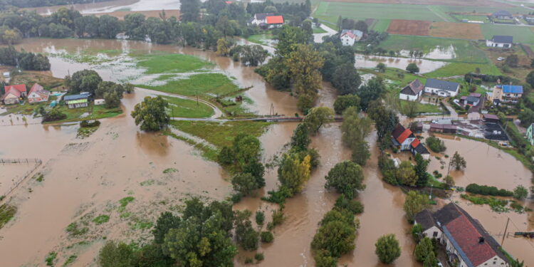 Mielec: Zielona Szkoła dla dzieci i młodzieży