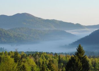 Mielec:  Gminni doradcy LIFE  w powiecie mieleckim