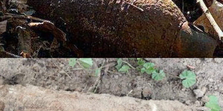 Powiat Stalowowolski: Wysyp niewybuchów