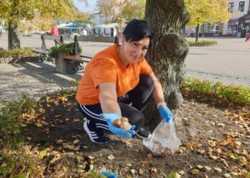 Tarnobrzeg:  Efekty tych prac podziwiamy wiosną