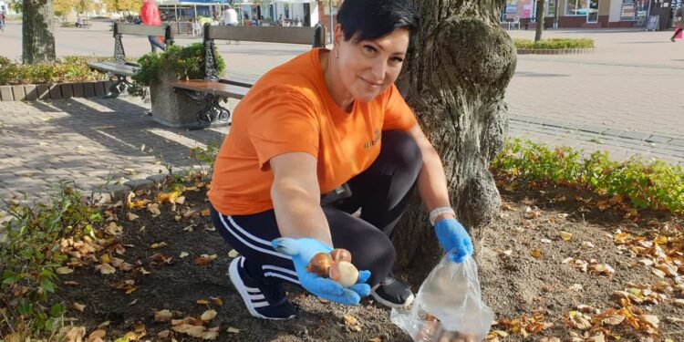 Tarnobrzeg: Efekty tych prac podziwiamy wiosną