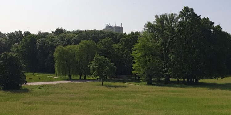 Tarnobrzeg: Są plany zagospodarowania terenów zielonych nad Wisłą