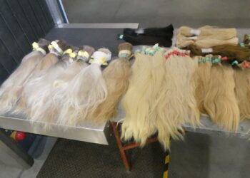 Podkarpacie: Ludzkie włosy – niezwykle cenna kontrabanda