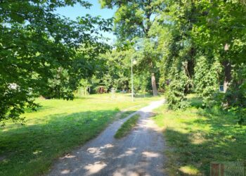 Koprzywnica: Zabytkowy park znów zachwyca