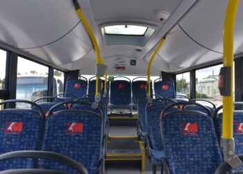 Sandomierz: We Wszystkich Świętych darmowe przejazdy komunikacją miejską