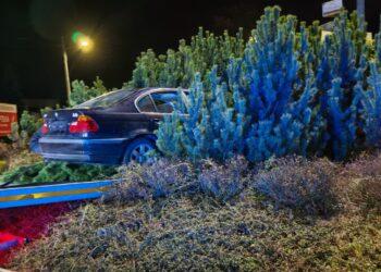 Sandomierz: Nietrzeźwy 25-latek zaparkował na rondzie