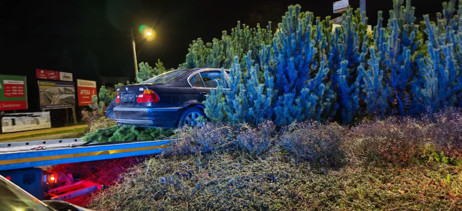 Zdjęcie WhatsApp 2024-10-11 o 12.36.19_b4367a85.jpg