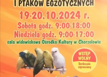 Mielec: 27. Mistrzostwa Ptaków Egzotycznych