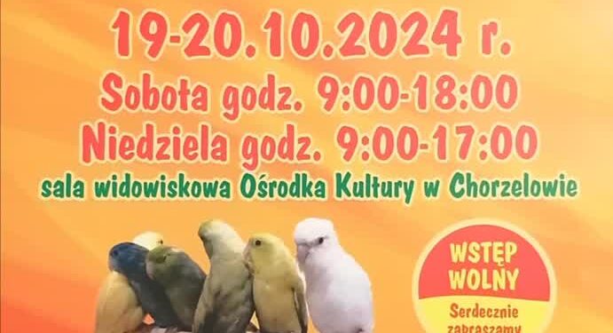 Mielec: 27. Mistrzostwa Ptaków Egzotycznych