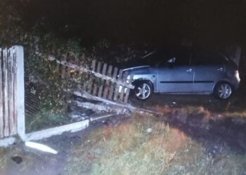 Lipa: Pijany kierowca dachował seatem