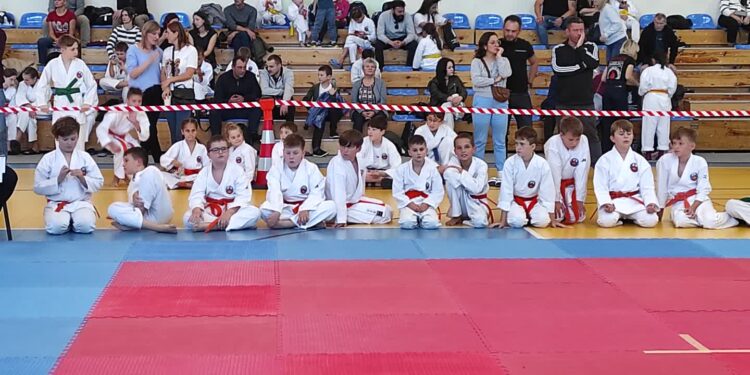 Mielec: Za nami 14. Ogólnopolski Turniej Karate Shorin Ryu