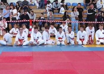 Mielec: Za nami 14. Ogólnopolski Turniej Karate Shorin Ryu