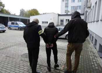 Kolejni pseudokibice zatrzymani