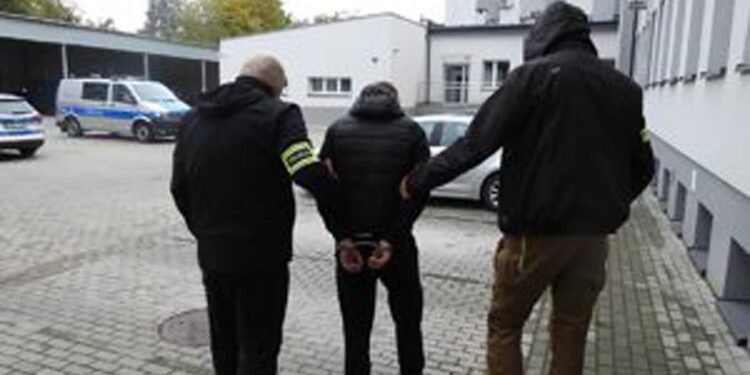 Kolejni pseudokibice zatrzymani