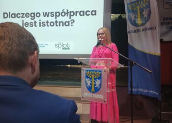 Dębica:  Obywatelstwo w działaniu. Projekt Dębickiej Akademii Rozwoju