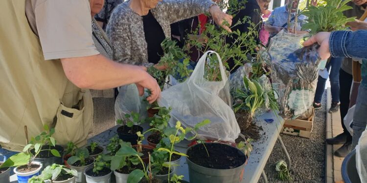 Tarnobrzeg: „Jesienna Kwiatowymiana” już w najbliższą niedzielę