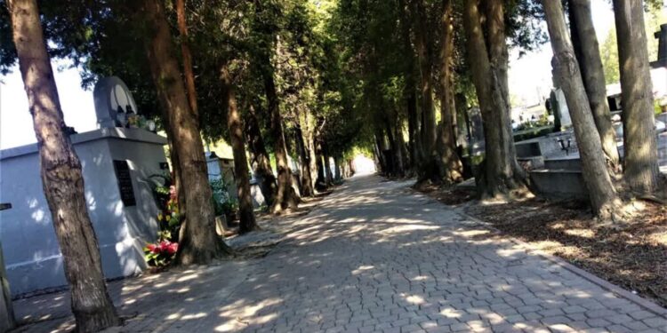 Dębica: Wszystkich Świętych – zmiany organizacji ruchu