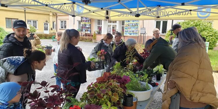 Tarnobrzeg: Było zielono i słodko. Kolejna udana „Kwiatowymiana”