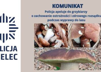 Mielec: Grzybiarze, zachowajcie ostrożność !