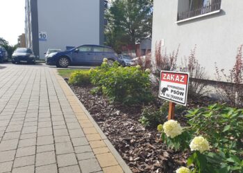 Tarnobrzeg: Wraca temat psich odchodów