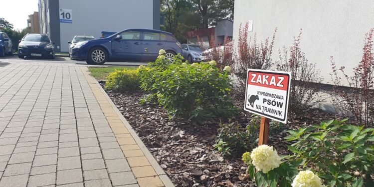 Tarnobrzeg: Wraca temat psich odchodów