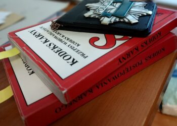 Niska: Oszukiwała na poratlach aukcyjnych