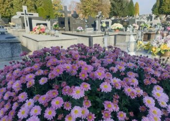 Tarnobrzeg: Przygotowania do Wszystkich Świętych