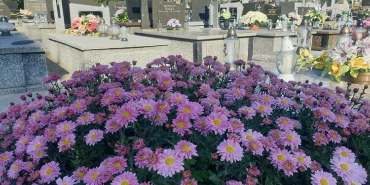 Tarnobrzeg: Przygotowania do Wszystkich Świętych