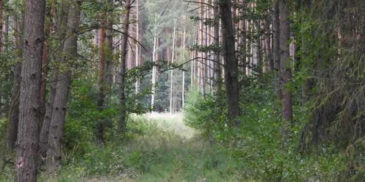 Mielec:  Edukacja ekologiczna to ważny temat