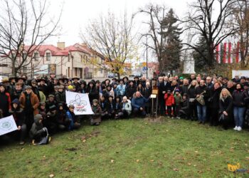 Mielec: W 35 lecie powstania niepokornego Harcerstwa
