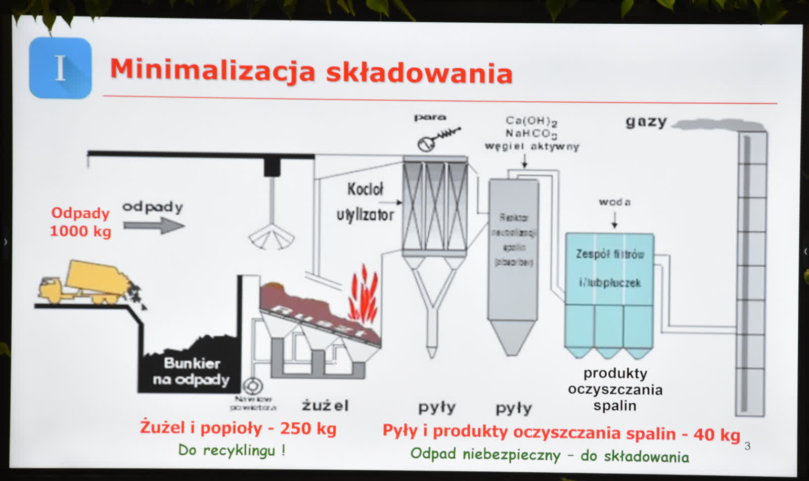 mzk-spal-zoe6.jpg